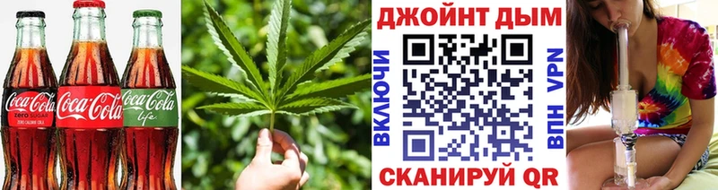 Canna-Cookies конопля Сланцы
