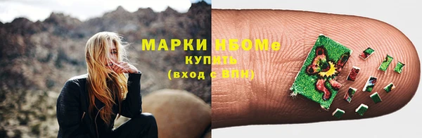 прущие грибы Балахна