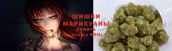 прущие грибы Балахна