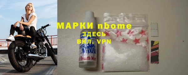 прущие грибы Балахна