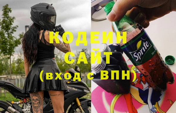 прущие грибы Балахна