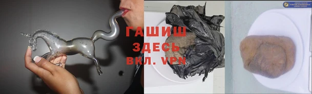 прущие грибы Балахна
