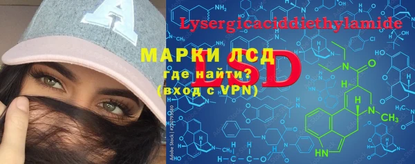 прущие грибы Балахна