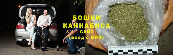 прущие грибы Балахна