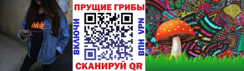 Псилоцибиновые грибы мицелий  хочу   Сланцы 